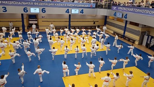12.mp4