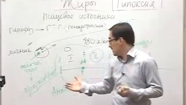 Вся суть женщины за 10 минут (с точки зрения гормональной системы).