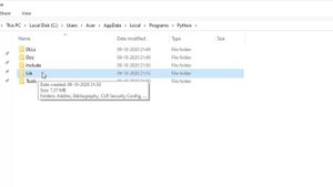 How To Fix No Qt Platform Plugin Could Be Initialized Error - This Application Failed To Start