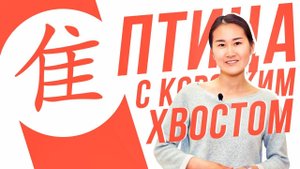 Ключевые иероглифы #74 隹 (птица с коротким хвостом) УЧУ КИТАЙСКИЙ ЯЗЫК ✌ Школа Динары Мин ✌