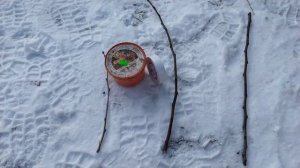 Зимняя прививка груш.