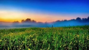 Людмила Марченко. Я любил одну милую