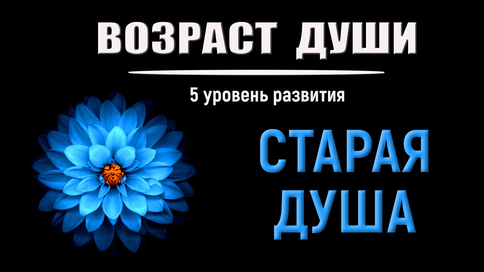 ✅ Возраст Души 5-й уровень развития. СТАРЫЕ  ДУШИ. Как определить возраст души