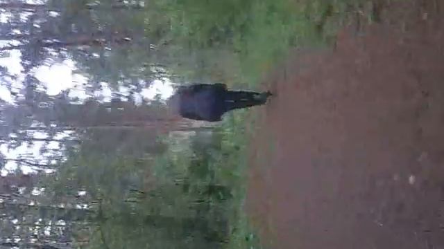 Шаг) смотреть онлайн