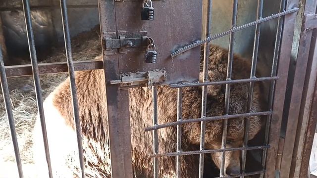 02.10.23. #машахулиганяша влюблена в Олега Калошина... смотреть онлайн