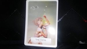 The Fates #17✨Daily Guidance - Wisdom Of The Oracle Message #Fate #Wisdom #Guidance #Message #Cards