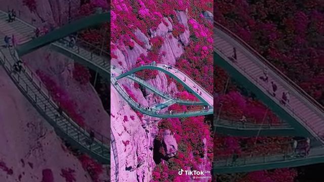 как же красиво #shorts смотреть онлайн