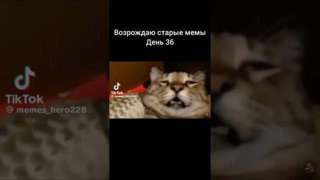 смотреть сожрал весь прятки