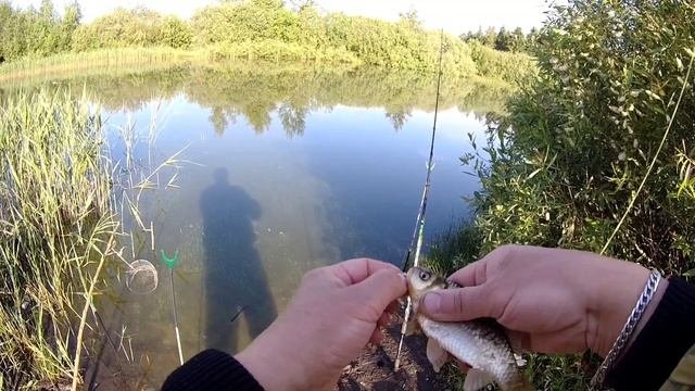 Ловлю на донки.