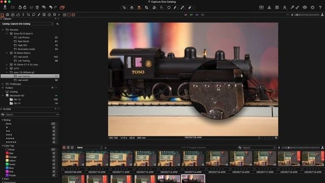 Sony 70-300mm G SSM II Lens Review Using Sony A7II Via LA-EA3 Lens Adapter