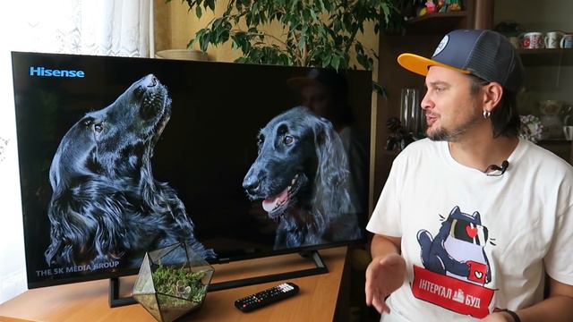 Кращий телевізор в моєму житті! 📺 HISENSE 43A7300F - Огляд бюджетного Смарт ТВ
