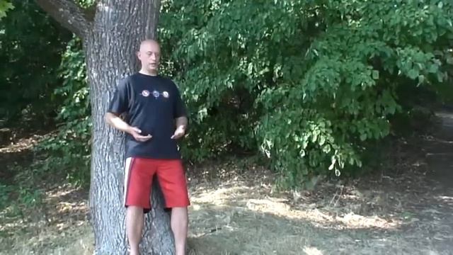 Целебная сила деревьев часть 2
