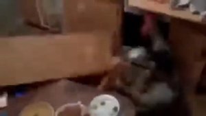 мужик упал со шкафа#рекомендация