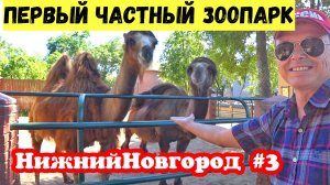 Нижний Новгород. Частный Зоопарк Лимпопо. Зоопарк Лимпопо в Нижнем Новгороде. Парк Сормово.