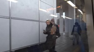 МЦД-2 Ласточка ЭС2Г-117 ст. Павшино - Пенягино - Волоколамская - Тушино