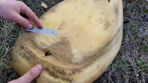 How to repair a torn scooter seat cover