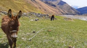 Неизведанный Рутульский район /Уна/Шиназ/