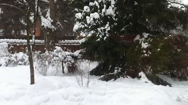 Зимняя мантра смотреть онлайн