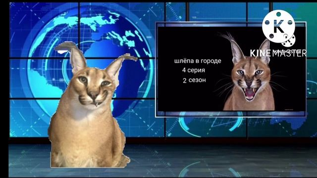 Новости о канале #1