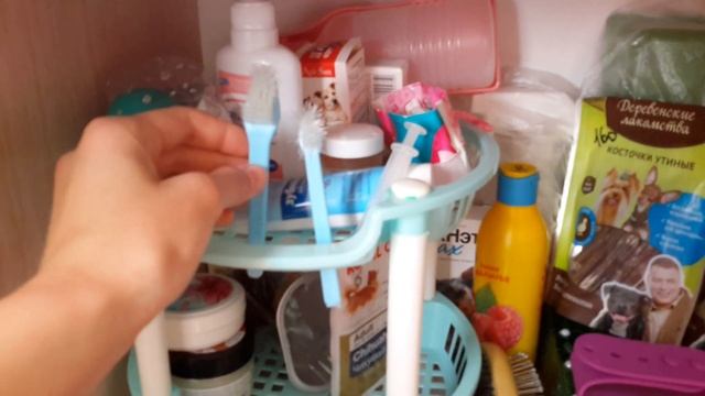 Хранение вещей моих собак))? смотреть онлайн