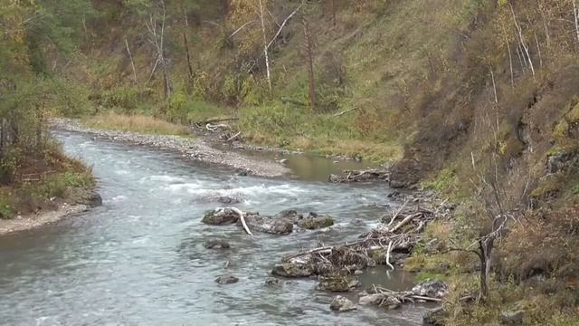 Рождение здоровой нервной системы 1 часть  Для женщин Настрои академика Сытина Г.Н.