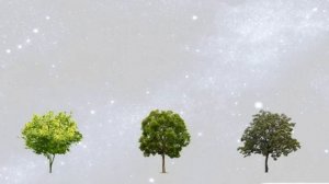 Рождение новой европейской науки