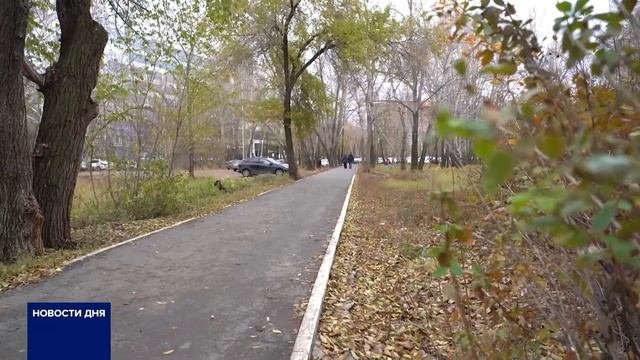 В школу с фонариком