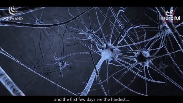 Научное доказательство пользы ПОСТА в месяц Рамадан смотреть онлайн