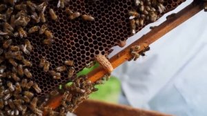 СКОРО БУДЕТ СВАДЬБА! КУПИЛ КОЛЬЦО, НО У ПОГОДЫ СВОИ ПЛАНЫ...