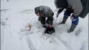 Видеообзор на поимки в Симбухово