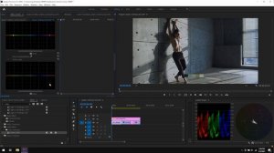 Recreating Hollywood's Most Popular Film Stock In Premiere Pro (Kodak 2383 Print Film Emulation)