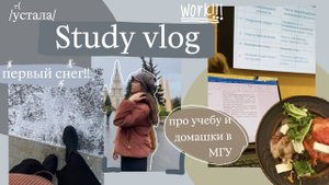 study vlog про учебу в МГУ