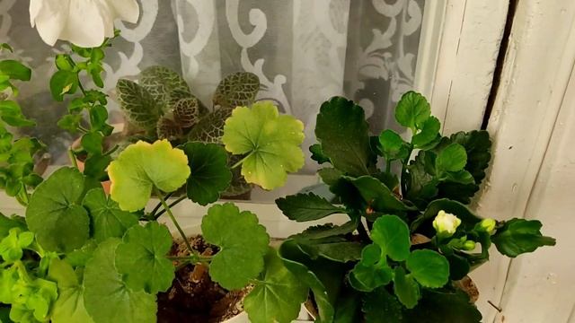 Туника крючком от угла. смотреть онлайн