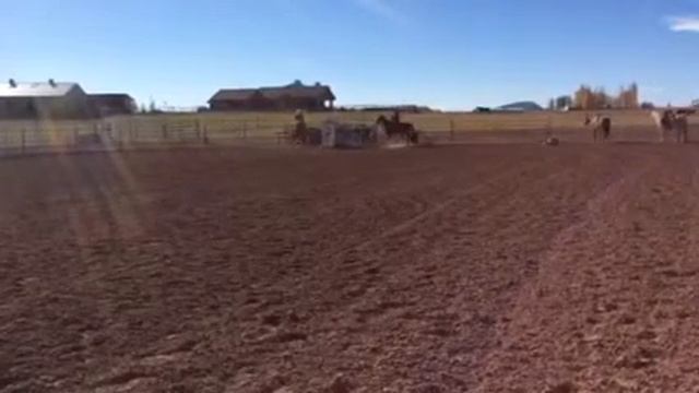 sammy vid4 смотреть онлайн