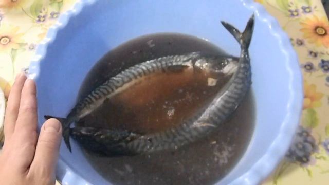 как засолить скумбрию целиком в домашних условиях вкусно и быстро