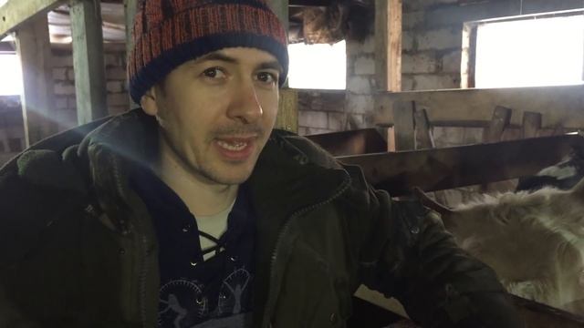 Цены на сельхозпродукцию!            Прибавление в хозяйстве!