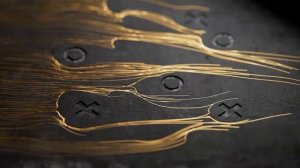 Как бренды используют моушн дизайн в рекламе?