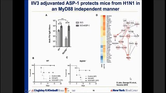 VIRTUAL INTERNATIONAL CONFERENCE ON GLOBAL RESEARCH TRENDS IN BIOTECHNOLOGY - DAY 1- SESSION II смотреть онлайн