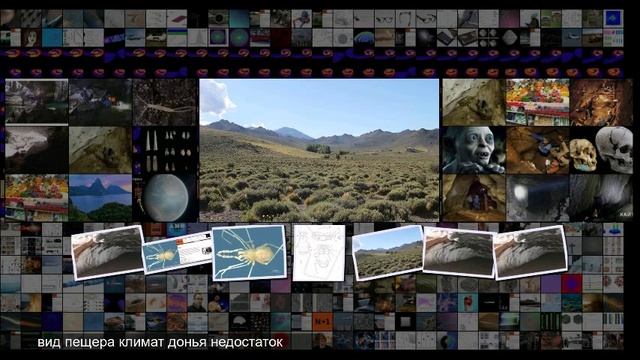 В аргентинской лавовой трубке нашли сенокосца-троглодита смотреть онлайн