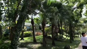 Ночной рынок на Карон-Бич,Пхукет,пляж