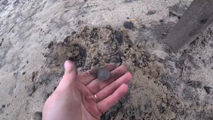 ОСУШИЛИ ДЕРЕВЕНСКИЙ ПРУД И ОБНАРУЖИЛИ!