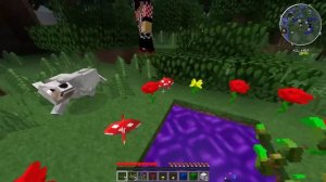 Lp. СумеречноRPG-шные похождения на карте #3 (В сумеречный лес)