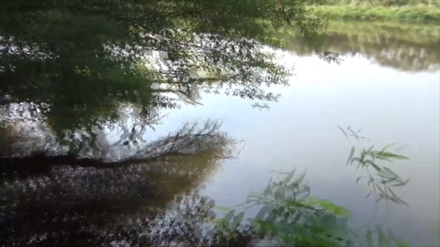 Рыба которая всегда спасает! Теоретическая рыбалка. смотреть онлайн