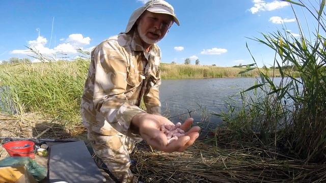 Сазаны опустошили кормак. Опыт по закорму места ловли. 2019 г. смотреть онлайн