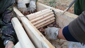 Обработка кедровой шишки в ручную