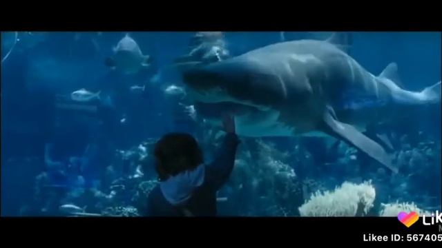 Мальчик стал королем моря смотреть онлайн