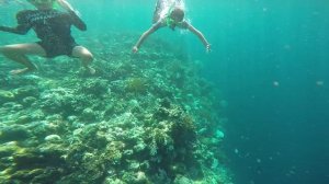 Menjangan Island, West Bali National Park