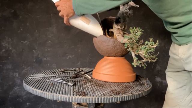 Rinvaso di Bosso 18 09 2021 смотреть онлайн