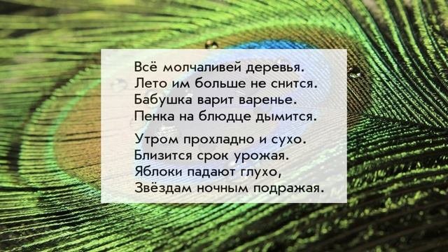 Представление о стихах и прозе. Литература 5 класс.