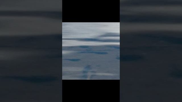 Головастики